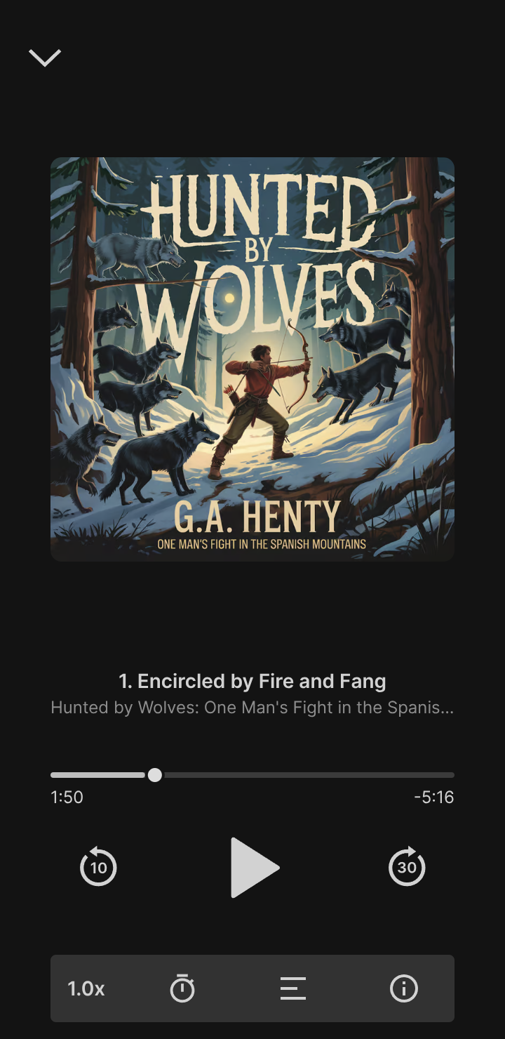 Treefort’s in-app audio player.