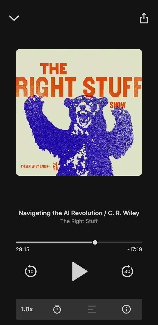 The Treefort audio player